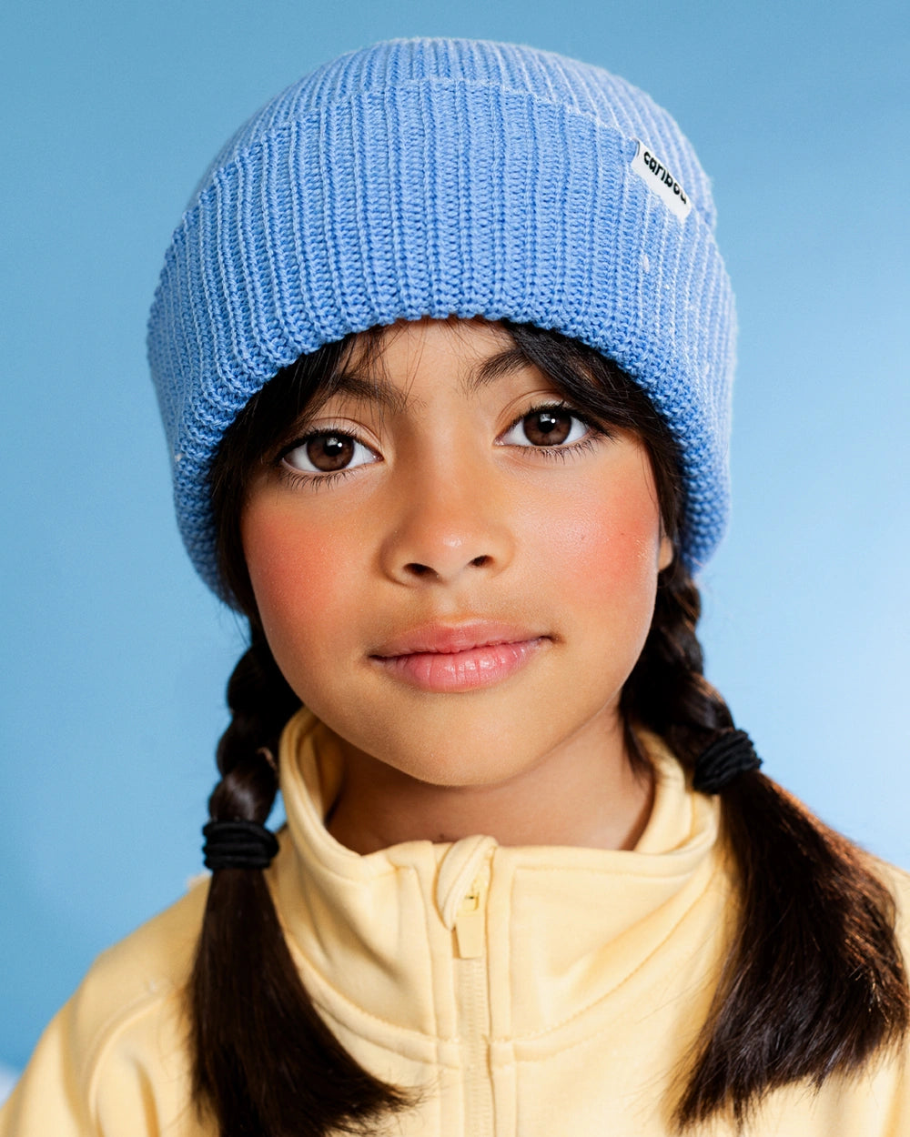 Pervenche2;Periwinkle