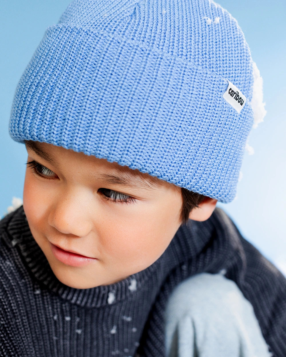 Pervenche;Periwinkle